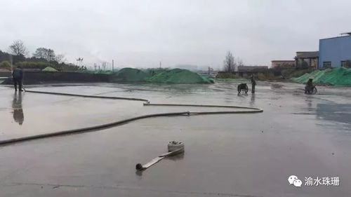 拆鍋爐、抑揚塵、禁焚燒 珠珊鎮大氣污染防治成效顯著，合同能源管理助力綠色發展